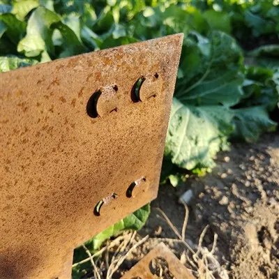 Corten tērauda dārza apmales zāliena apmales